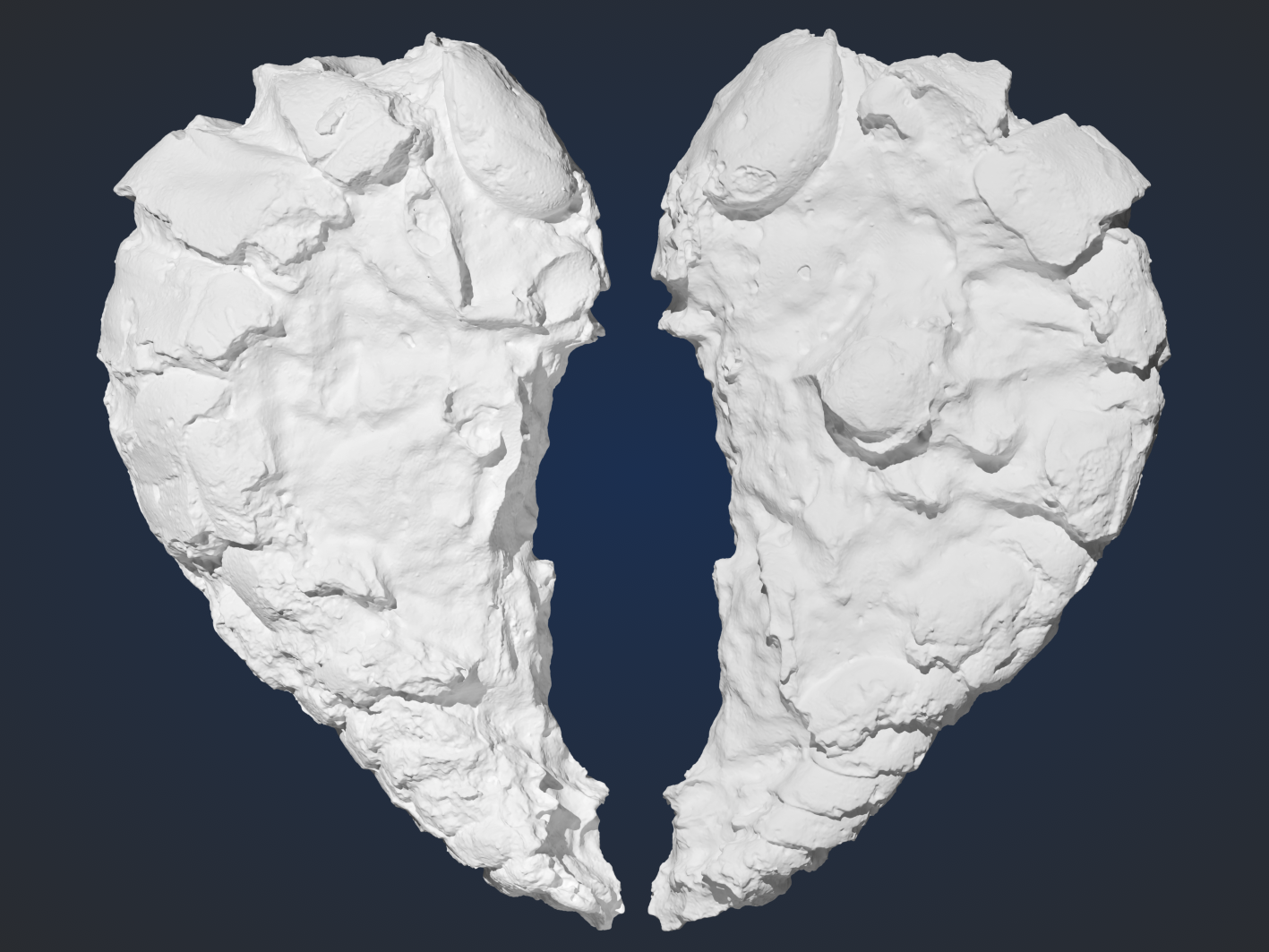Surface model of the cast of Urda stemmerbergensis